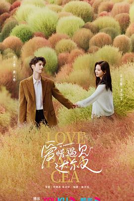 重庆网站优化哪家便宜